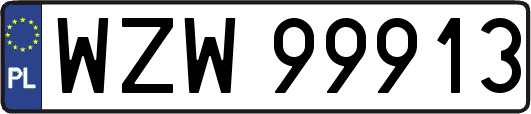 WZW99913