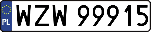 WZW99915