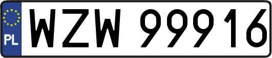 WZW99916
