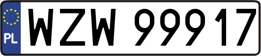 WZW99917