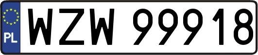 WZW99918