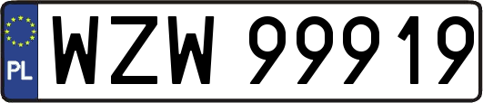 WZW99919