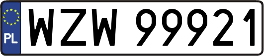 WZW99921