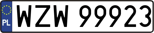 WZW99923