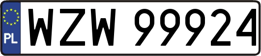 WZW99924