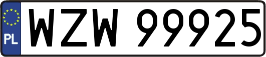 WZW99925
