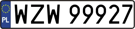 WZW99927