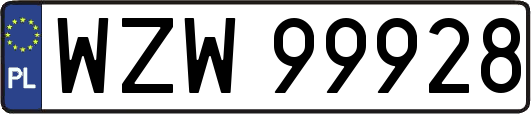 WZW99928