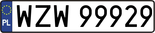WZW99929