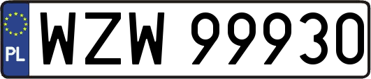 WZW99930