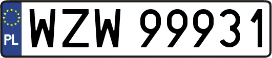 WZW99931