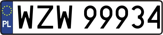 WZW99934