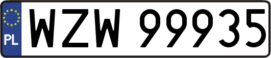 WZW99935