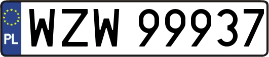 WZW99937