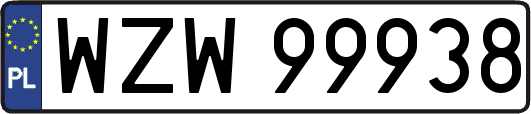 WZW99938