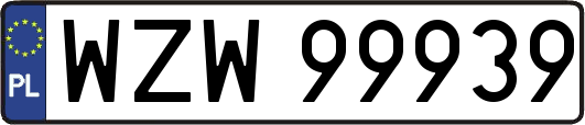 WZW99939