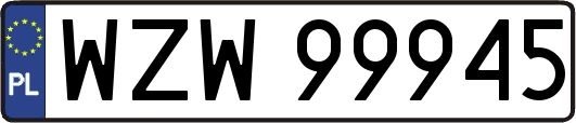WZW99945