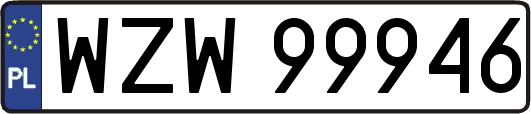 WZW99946
