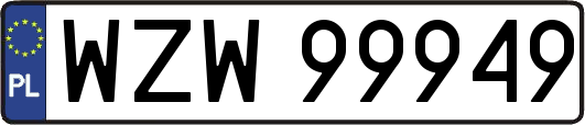 WZW99949