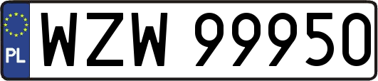 WZW99950
