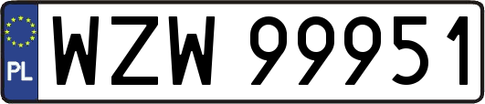 WZW99951