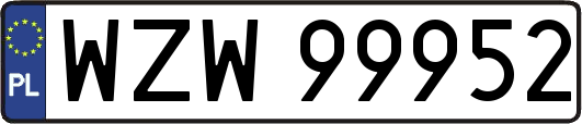 WZW99952