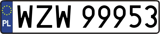 WZW99953