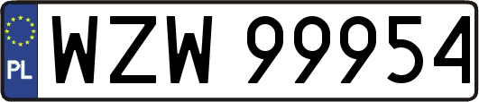 WZW99954