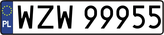 WZW99955