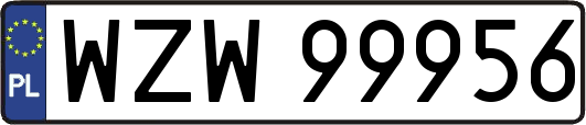 WZW99956