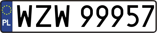 WZW99957