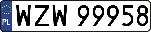 WZW99958