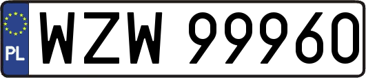 WZW99960