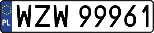 WZW99961