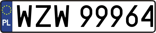 WZW99964