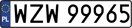 WZW99965