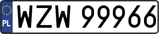 WZW99966