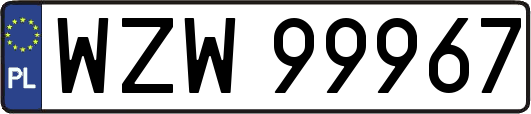 WZW99967