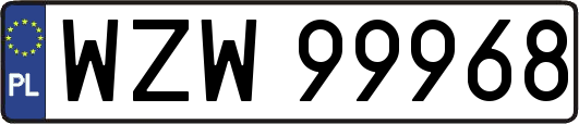 WZW99968