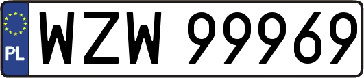 WZW99969
