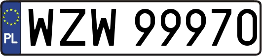 WZW99970