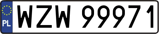 WZW99971