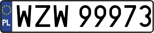 WZW99973