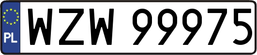 WZW99975