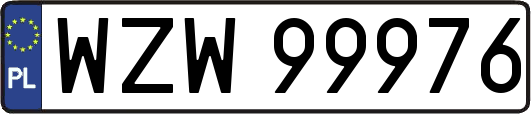WZW99976
