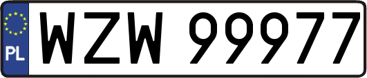 WZW99977