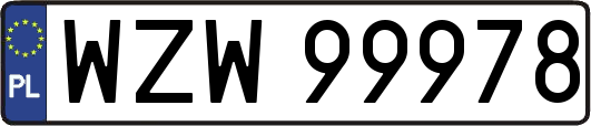 WZW99978