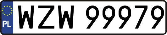 WZW99979