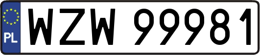 WZW99981