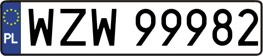 WZW99982